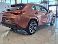 2025 Lexus UX 300h Premium