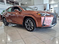 2025 Lexus UX 300h Premium