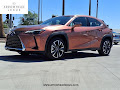 2025 Lexus UX 300h