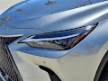 2024 Lexus NX 350h Premium