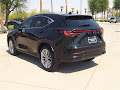 2025 Lexus NX 350h Luxury