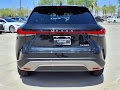 2025 Lexus RX 350 Premium Plus