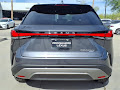 2026 Lexus RX