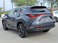 2026 Lexus NX 450h+ Luxury