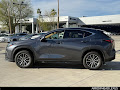 2025 Lexus NX 250 Premium