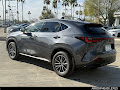 2025 Lexus NX 250 Premium