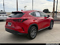 2024 Lexus NX 250 Base