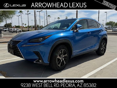 2019 Lexus NX