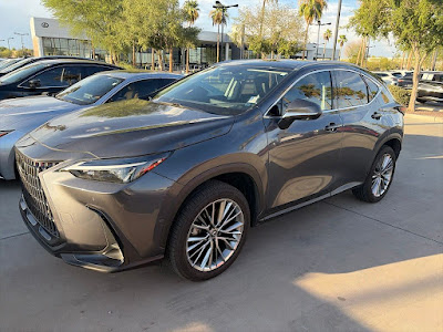 2022 Lexus NX