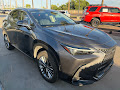 2022 Lexus NX NX 350h Luxury