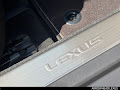 2024 Lexus LC 500