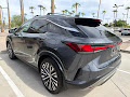 2025 Lexus RX 350h Premium Plus