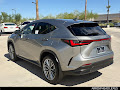 2026 Lexus NX 350 Luxury